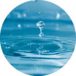 Infusion nuy online beer