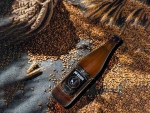 Infusiion best beer bottle with refreshing golden beer in a glass