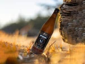 Infusiion best beer bottle placed on a stylish bar counter